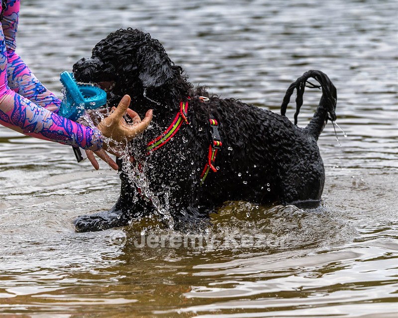 Ziva Hyres