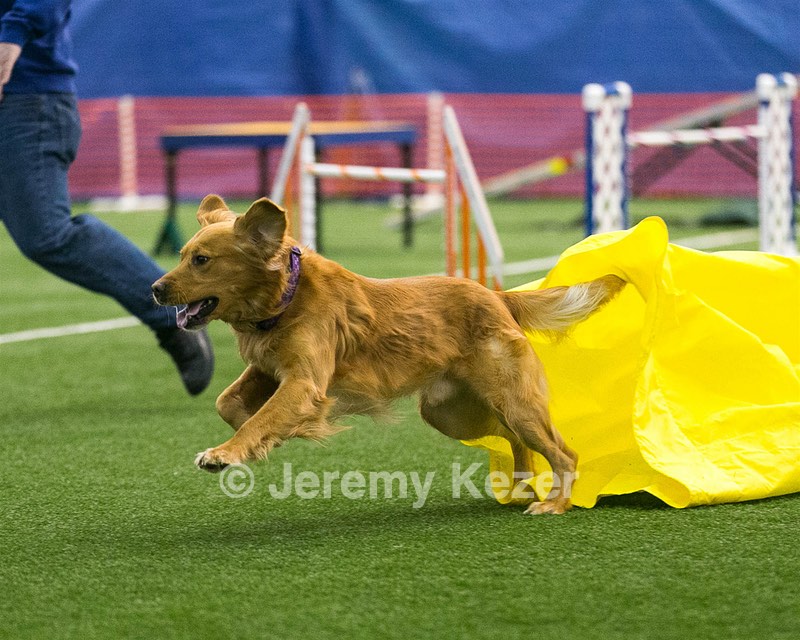 20150322-LEAP-0622.jpg