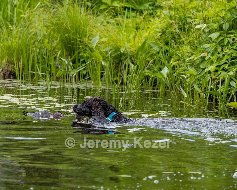 Ghillie Kezer