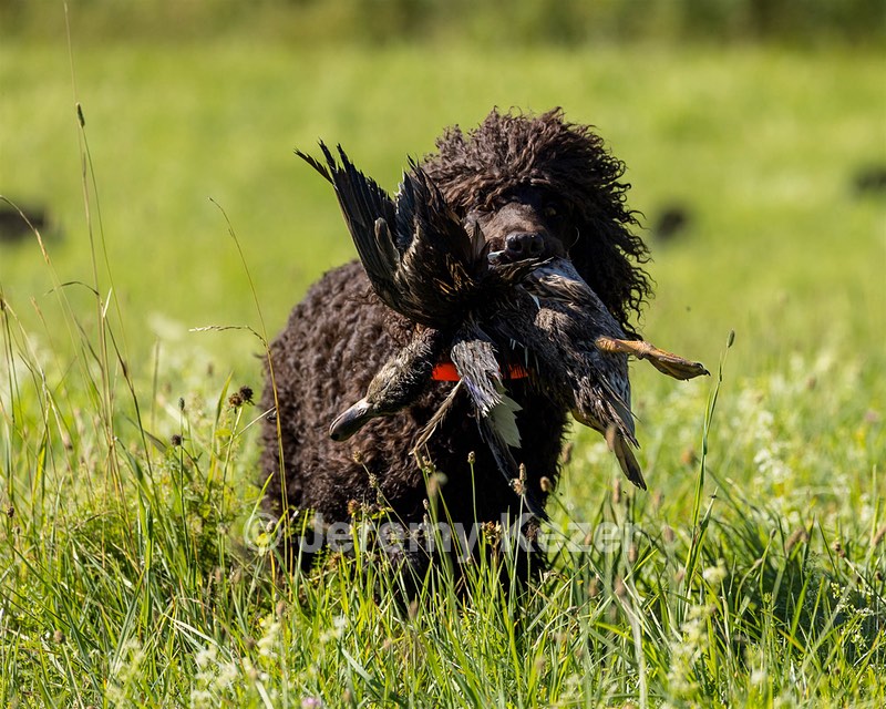 Ghillie Kezer