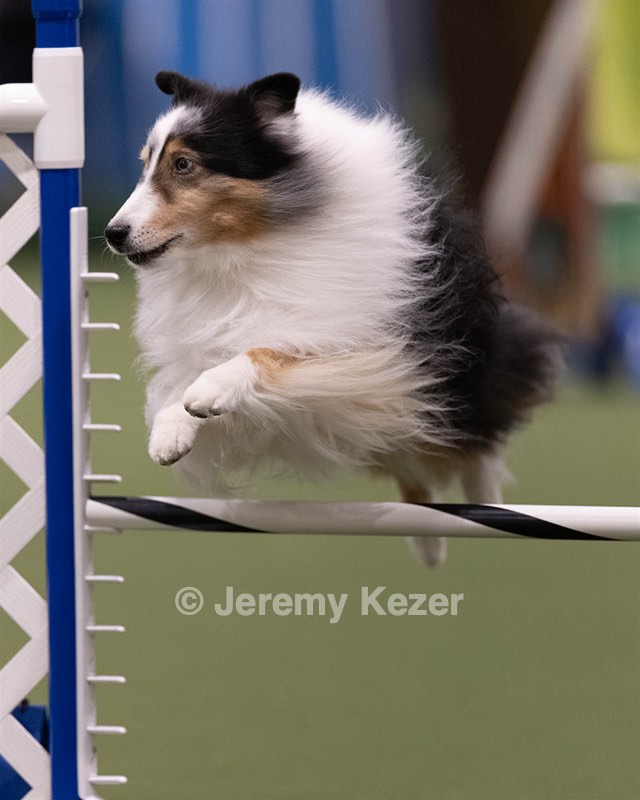 20260221-0106.jpg