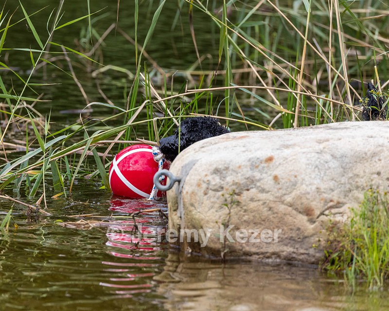 20210912-WWD-0527.jpg