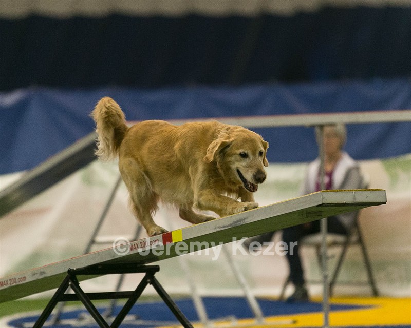 20150321-LEAP-0711.jpg