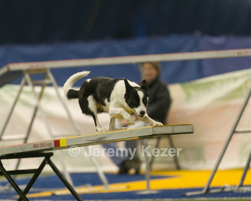20150321-LEAP-1022.jpg