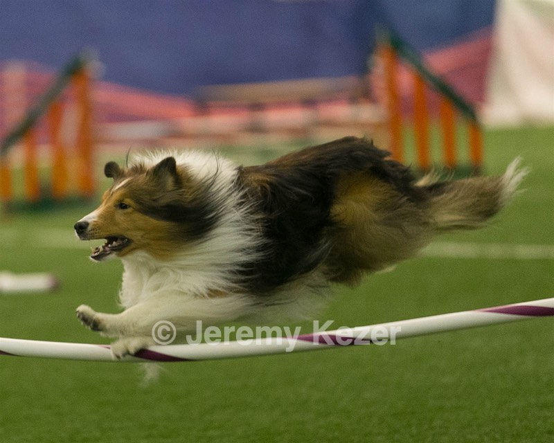20150321-LEAP-1401.jpg