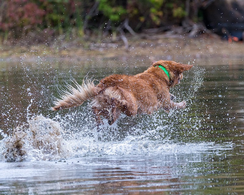 Zoe