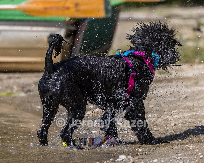 Penny Toby-Ann