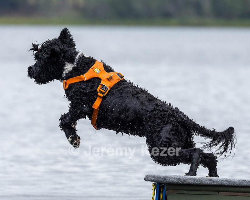 Liza Brogan