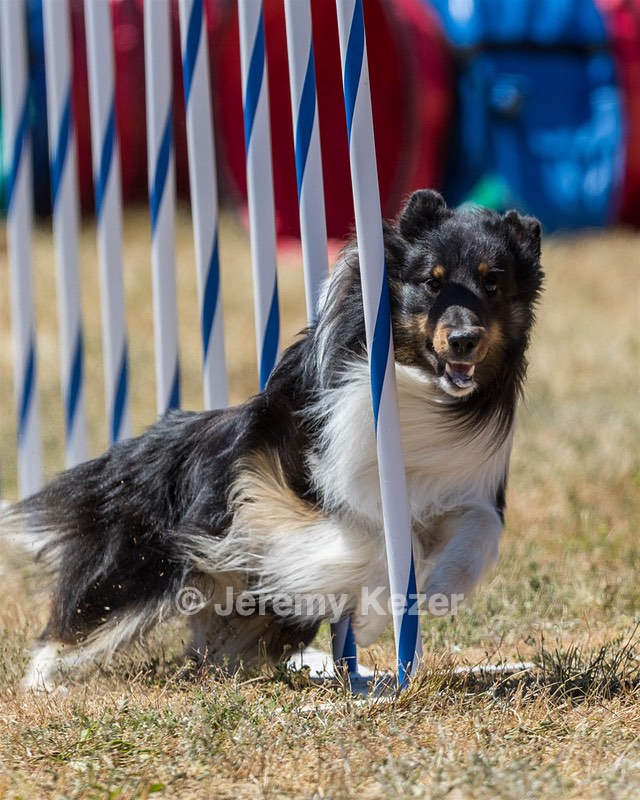 20160618-CCKC-1688.jpg
