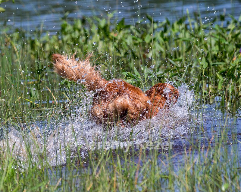 LUNA DUFFY