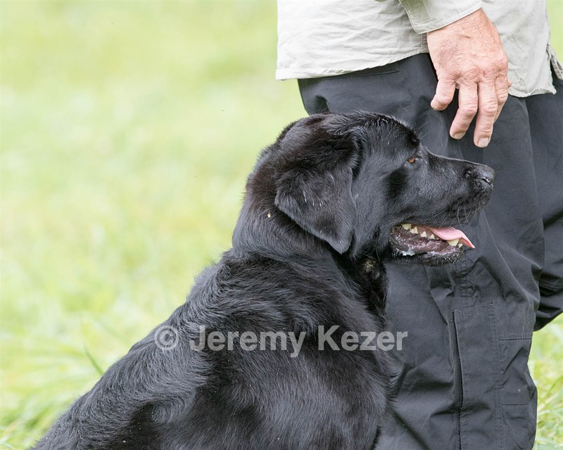 Ranger schuko