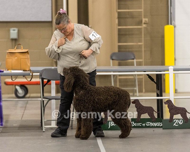 17 - Ballyhoo’s V Finnegan Mcneill BN FDC CA BCAT DS DJ CGCA TKN VHMA JH JHU WD