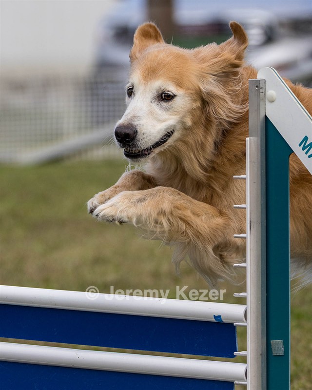 20230917-PVKC-2807.jpg