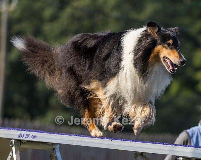 Savannah Lincoln