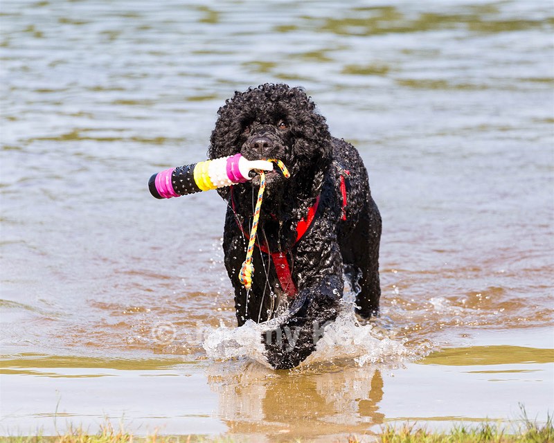 Phelps