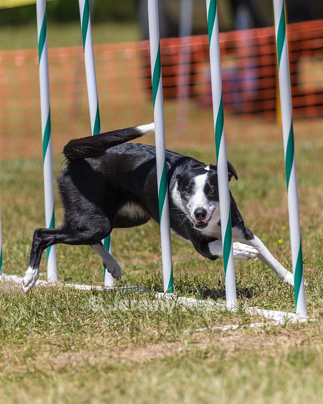 20180617-1013.jpg
