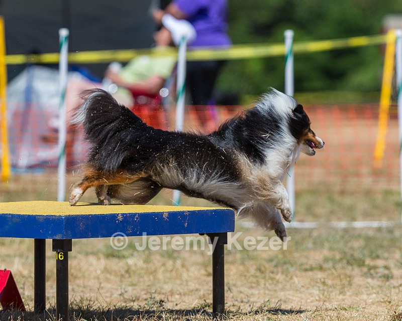 20160619-CCKC-1270.jpg