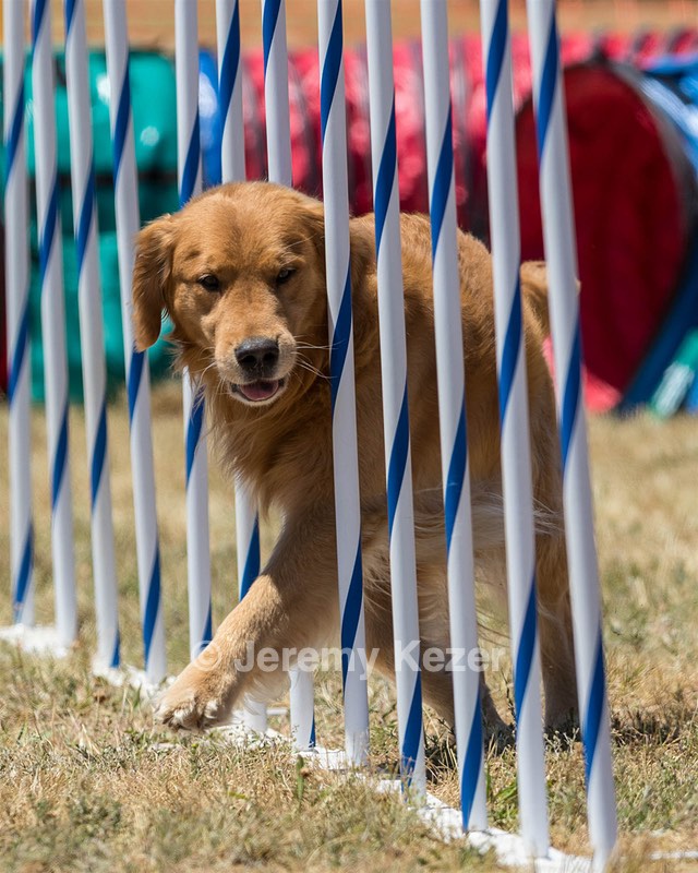 20160618-CCKC-1338.jpg