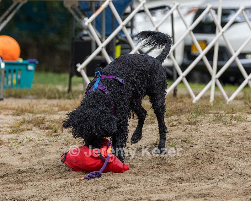 20210912-MWD-0117.jpg