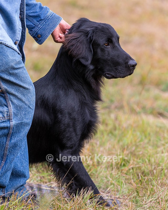 Jake