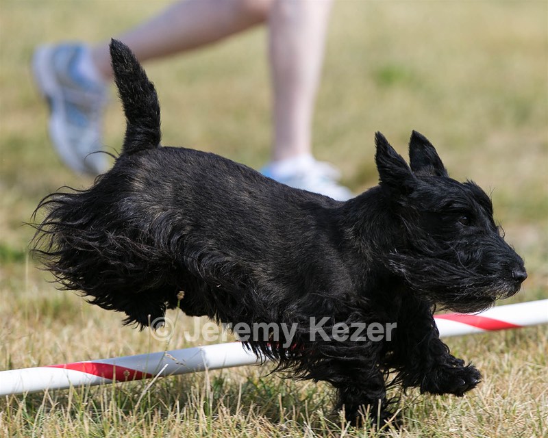 20150613-CCKC-0032.jpg