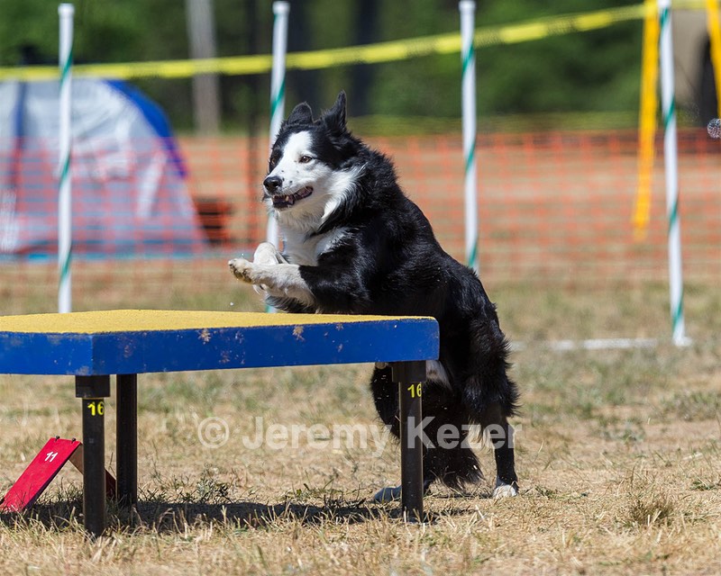 20160619-CCKC-1444.jpg