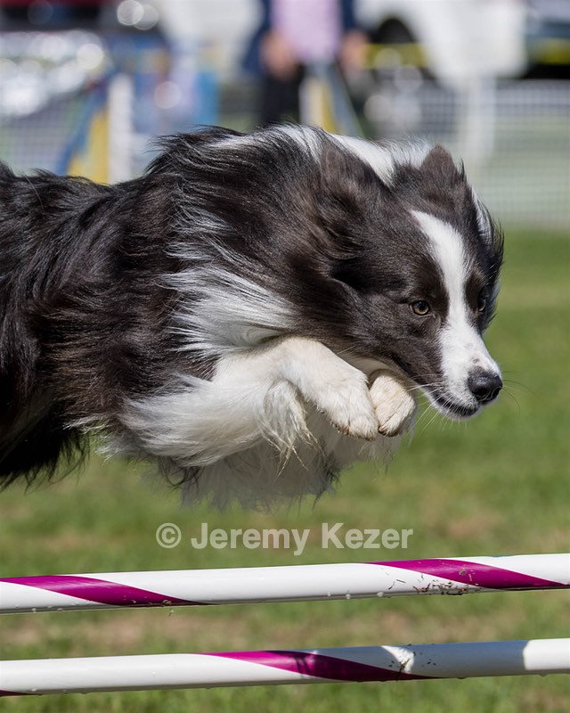 20220917-PVKC-1272.jpg