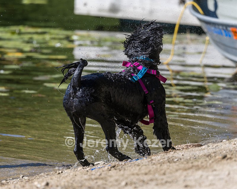 Penny Toby-Ann