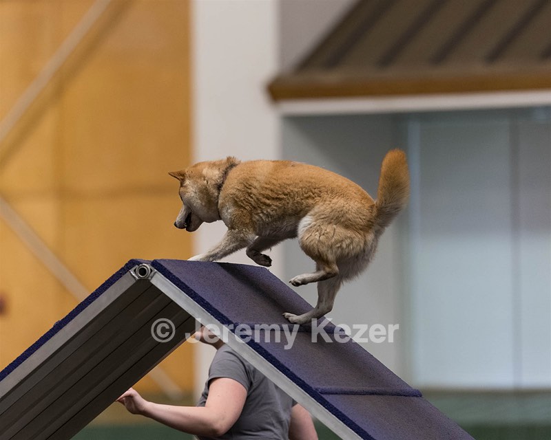 Gryffindor Giles