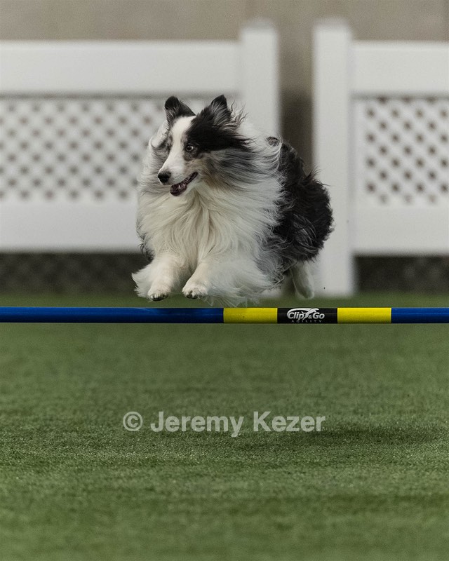 Stormy Dabrowski