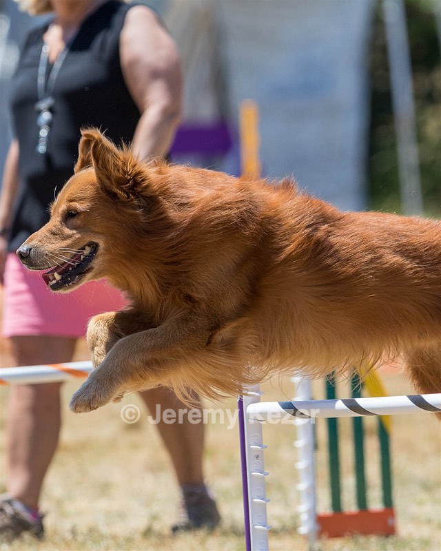 20160618-CCKC-1484.jpg