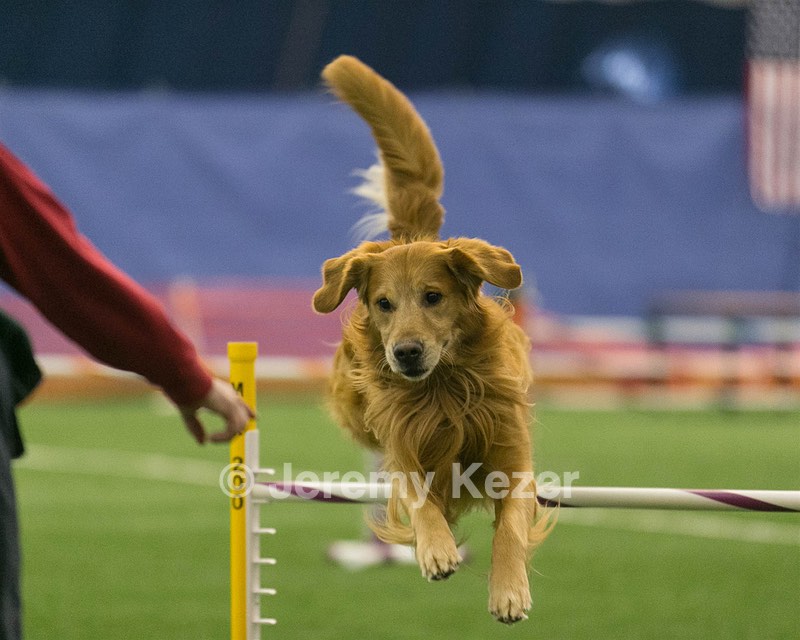 20150321-LEAP-0655.jpg