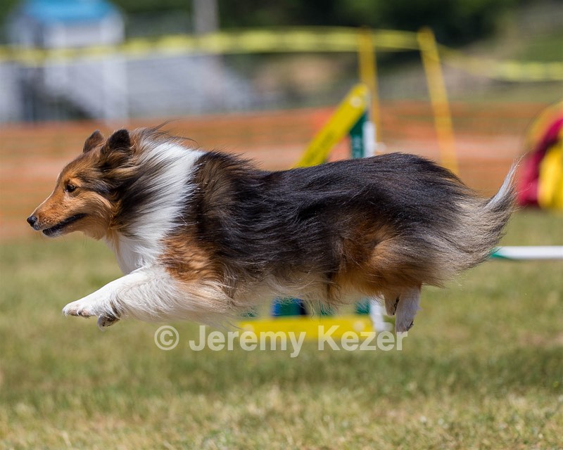 Riley Walsh