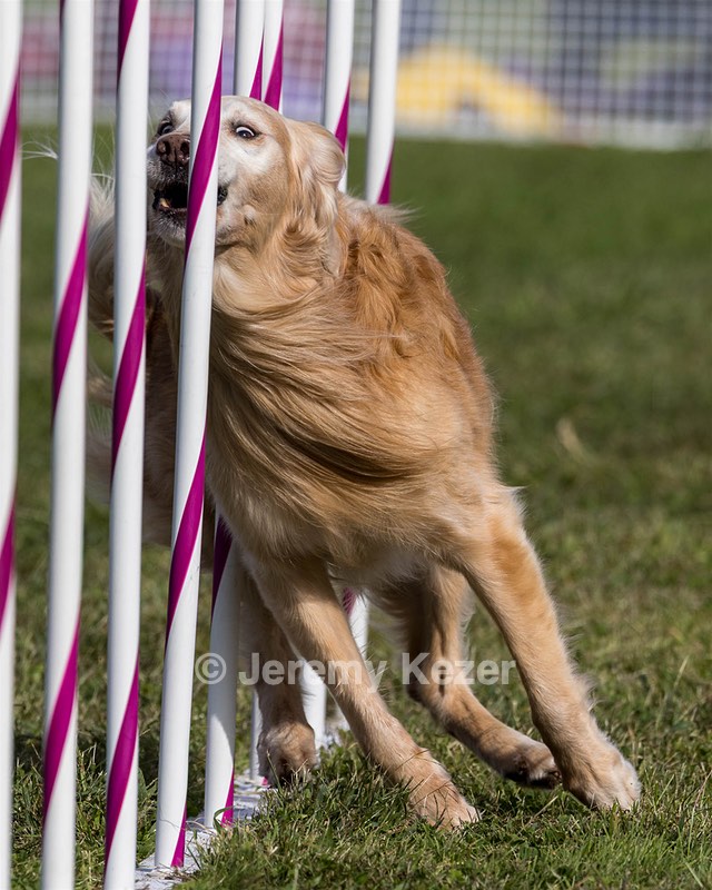 20230916-PVKC-1369.jpg