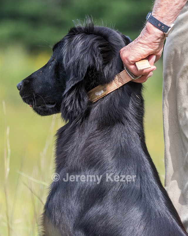 Ziva Millikin