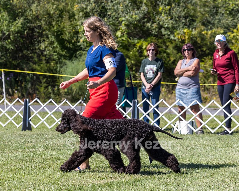 24 - POOLE'S IDE MODERN LOVE CGC (Remi)