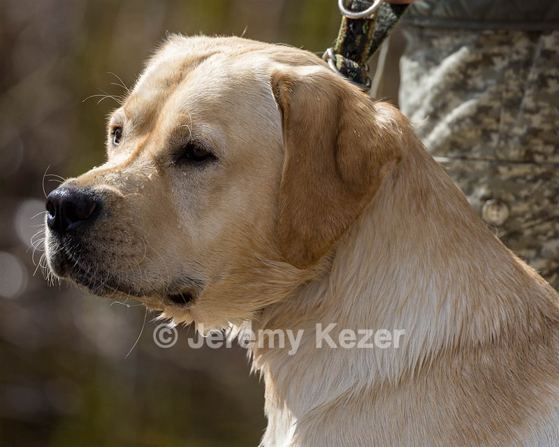 Remy Capone