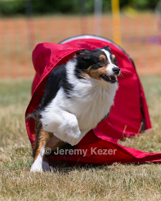 20150613-CCKC-0185.jpg