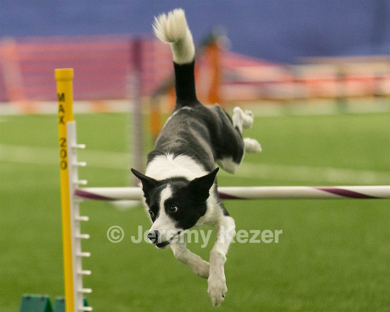 20150321-LEAP-1014.jpg