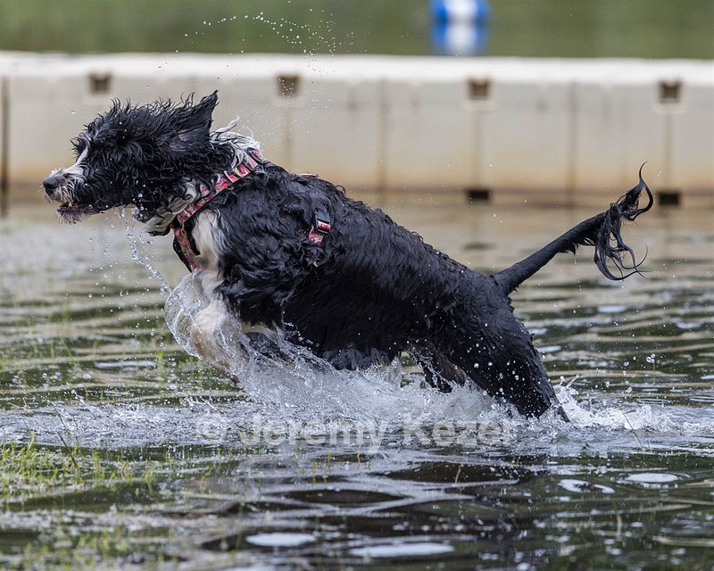 Zora Schaub