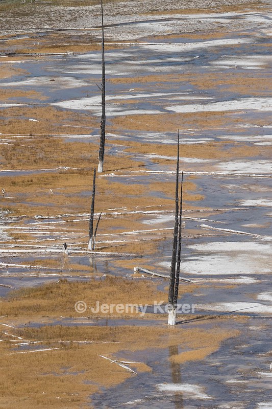 Grand Prismatic Spring, Yellowstone National Park