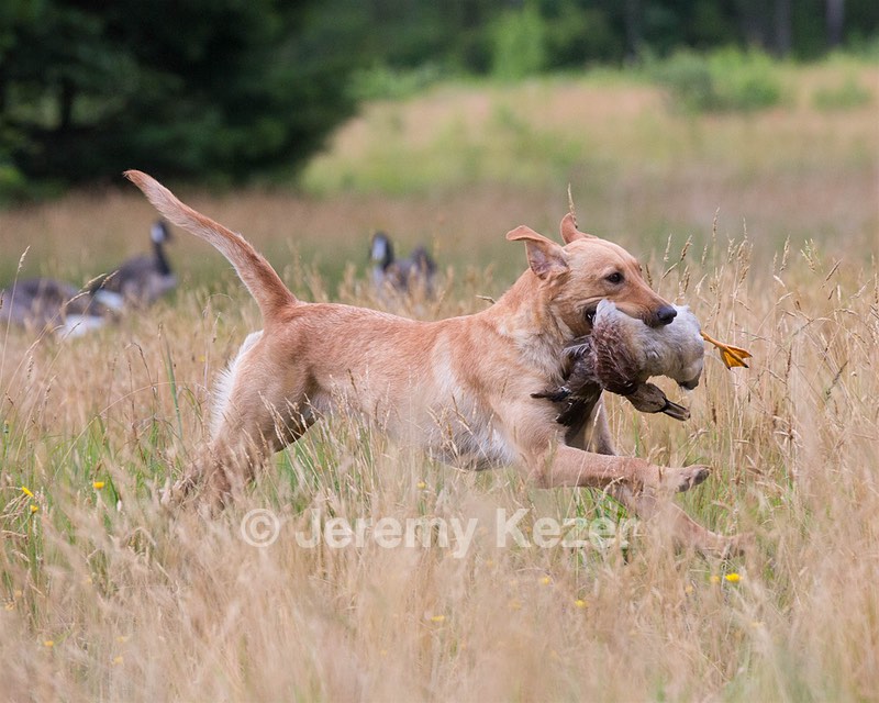 Belle Southall