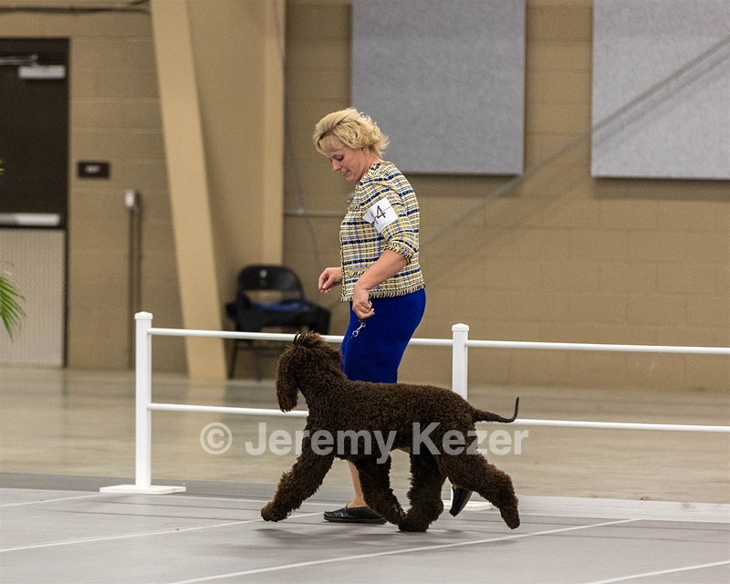 14 - Kendall’s Anyone Can Whistle TKN (Betty)
