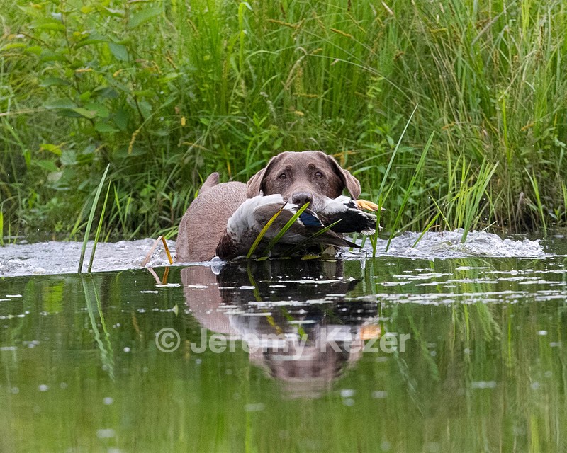 20130713-MHB2-0096.jpg