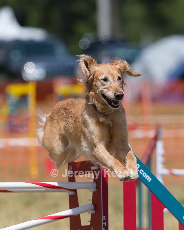 20150614-CCKC-1742.jpg