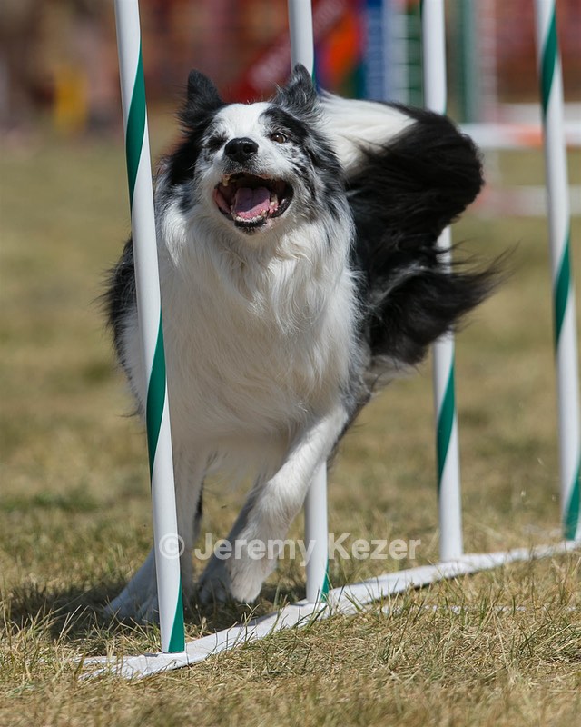 20150614-CCKC-1813.jpg