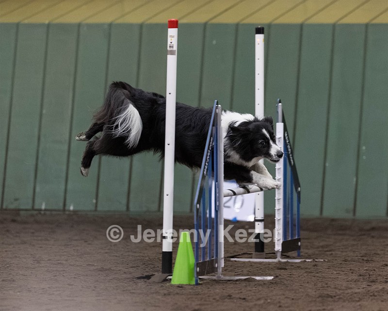 Breeze Schunk