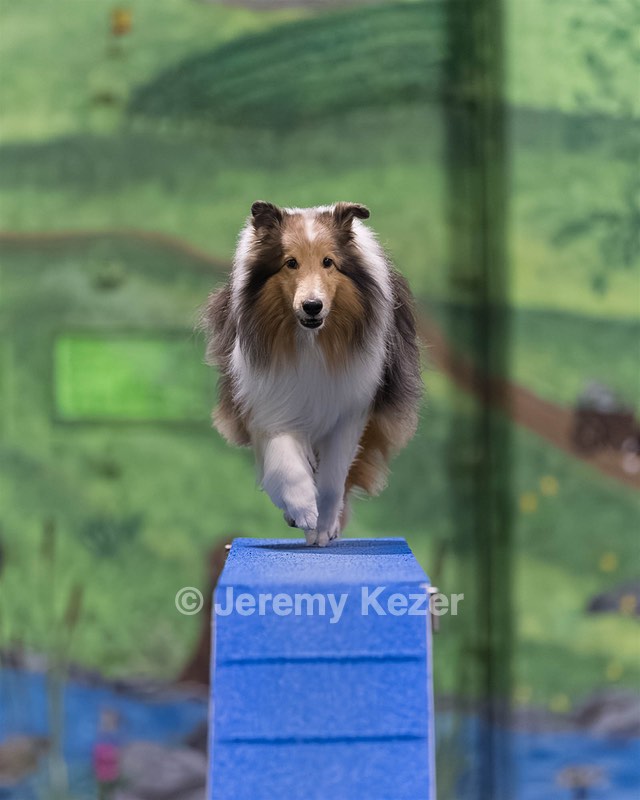 Cinder Rogers