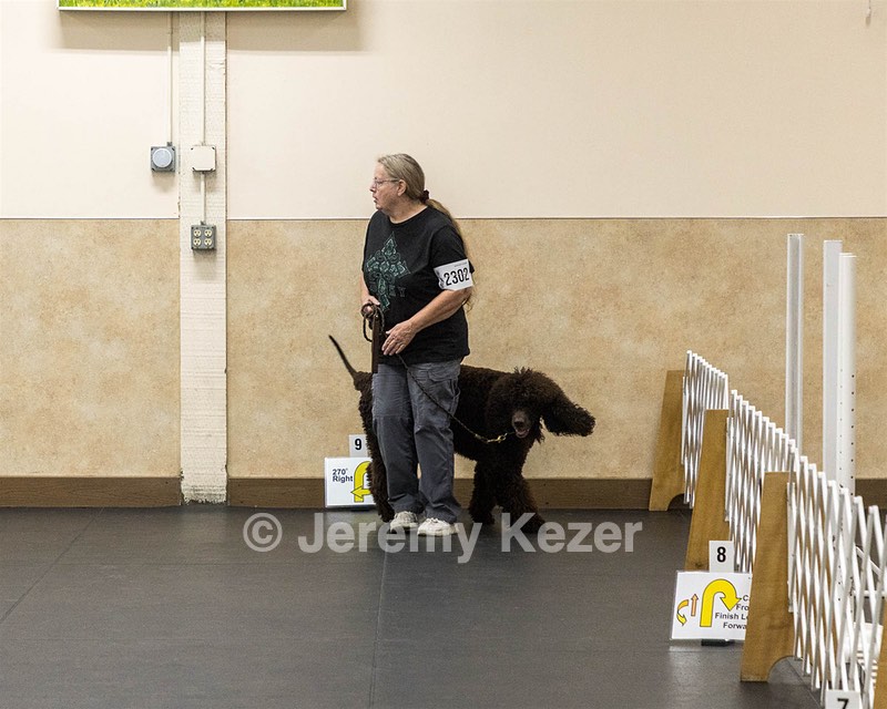 2302 - CH WHISTLE STOP'S JOKERS WILD RN CGC TKN (Joker)