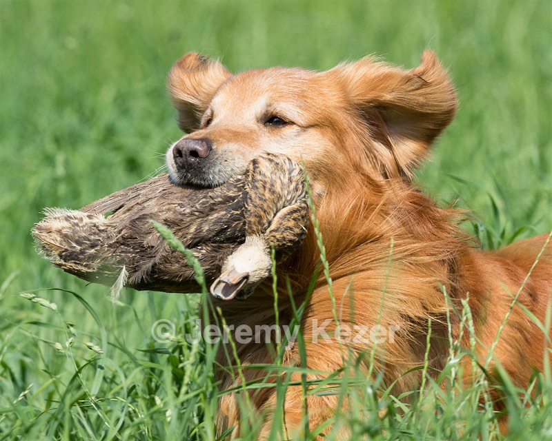 20160604-SEAL-0282.jpg